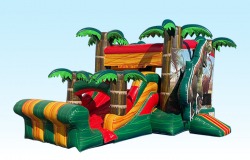 6A9862BC 25D9 4E36 8C28 DE10E3930F17 58280828 1 15x30 Dinosaur Combo with Pool