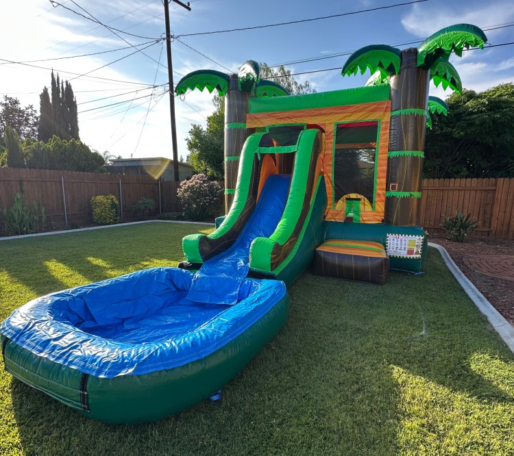 (Medium) Tropical Combo Waterslide #217 (Medium) Tropical Combo Waterslide #217